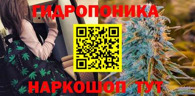 индика Мирный
