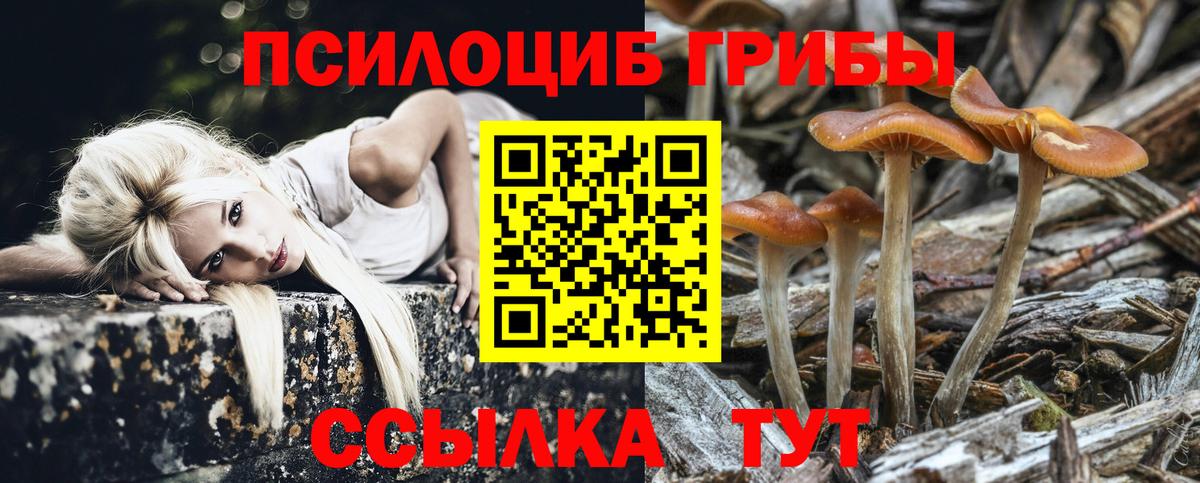 Псилоцибиновые грибы Cubensis  Вход с VPN  купить наркоту  Псилоцибиновые грибы прущие грибы  Малгобек 